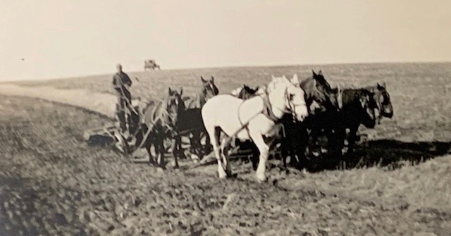 Image 2020-04-14 at 10.34 AM.jpg