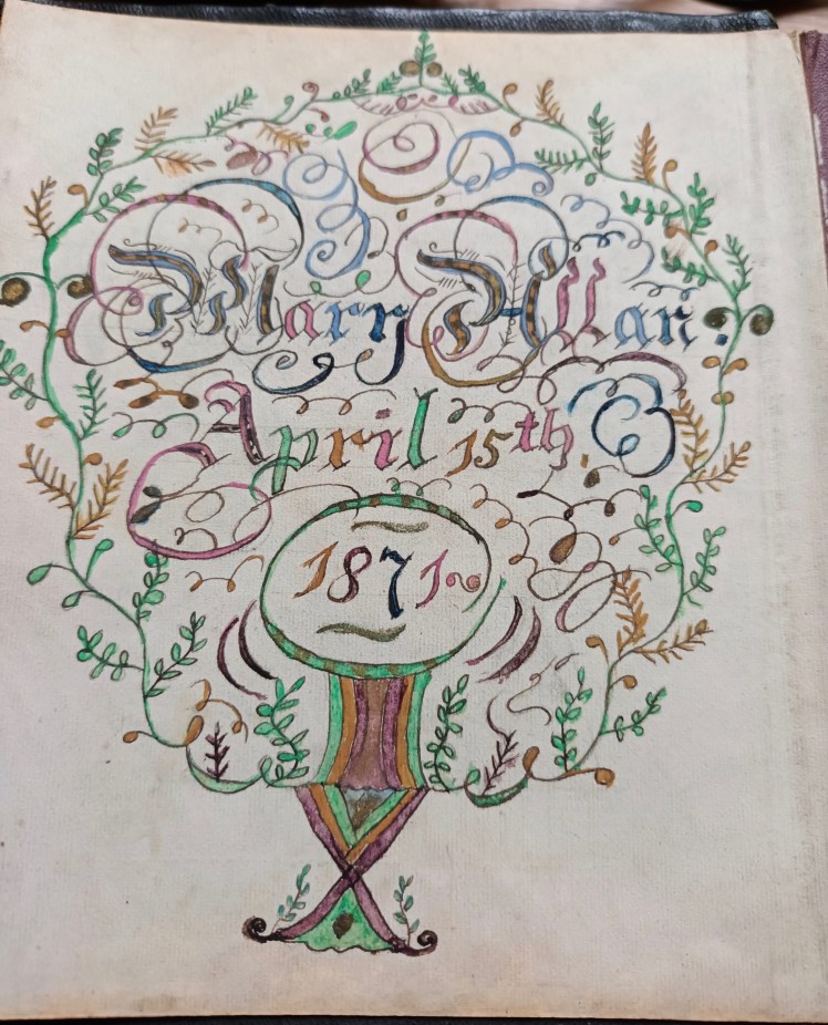 Mary Allan 1871 cover.jpg